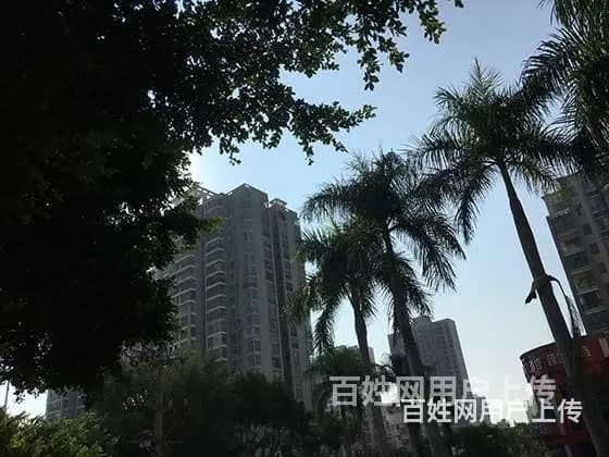 唐山迁安市公寓抵押贷款|汽车房产抵押业主短期周转贷款 - 图片 6